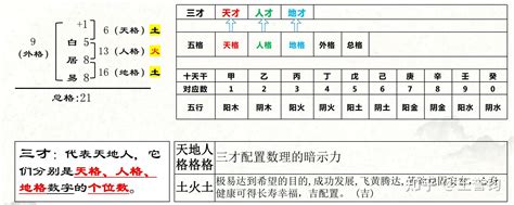 三才格|什么是三才五格